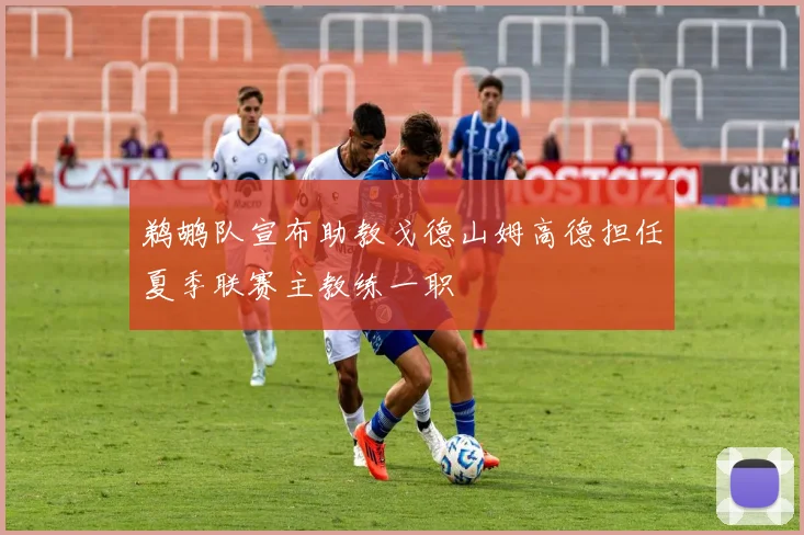 鹈鹕队宣布助教戈德山姆高德担任夏季联赛主教练一职
